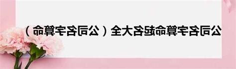 公司名字 算命